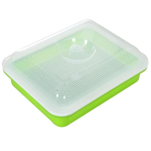 Green Seed Sprout Planting Plate With Cover Pea Bean Home Tray Systems Hydroponic Wheatgrass Pot Sprouter Seedling Germinat Z8A1