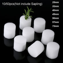 Load image into Gallery viewer, 10pcs Soilless Hydroponic Seed Trays Vegetables Nursery Pots Sponge Planting Flower Seed Cultivation System Nursery Sponge
