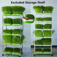 <transcy>Huishoudelijke Tuinbenodigdheden Hydrocultuur Lade Zaad Sprouter Tray Plant Kiembakken Dubbellaags Mand</transcy>