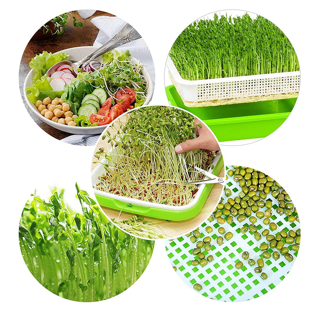 Nursery Pots Seed Sprouter Tray Bean Sprouts Double-layer Dishes Plate Seedling Tray Plastic Hydroponic Sprout Plate