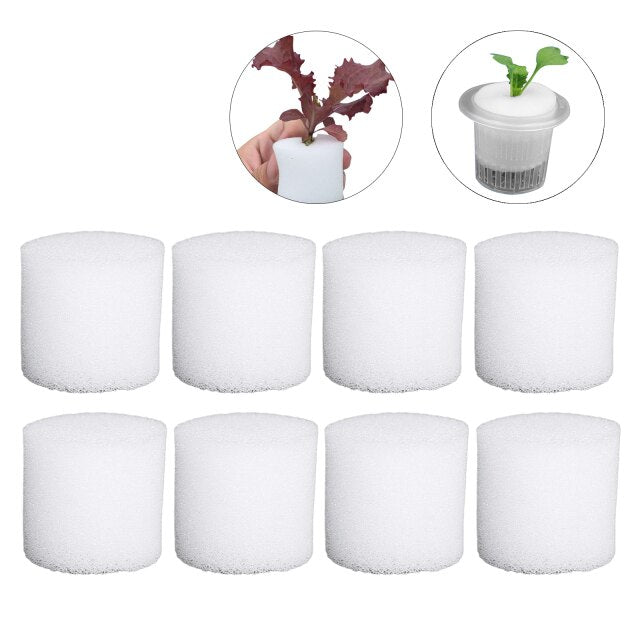 Hydroponics Sponges Cultivation Equipment Growing Media Greenhouse Soilless Cylindric Gardening Tool 100pcs Seed Tray Flowerpot