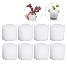 Load image into Gallery viewer, Hydroponics Sponges Cultivation Equipment Growing Media Greenhouse Soilless Cylindric Gardening Tool 100pcs Seed Tray Flowerpot
