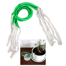 Load image into Gallery viewer, 5PCS Automatic Watering Rope Non-Woven Fabric Self Watering Wicking Cord Plant Bonsai Waterer Hydroponic Supplies Irrigate Rope
