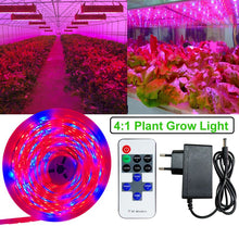 Load image into Gallery viewer, Phyto LED Plant Growth Light Full Spectrum Hydroponic LED Strip Diode Tape Dimmable 2835 for Seeding Plants Flowers Greenhouses
