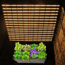 Load image into Gallery viewer, High PPFD UV LED 16Bars 660W Gavita PRO 1700e Full Spectrum Indoor Plant led Grow Light for Plant Grow
