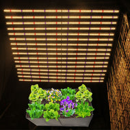 <transcy>Hoge PPFD UV LED 16 Bars 660 W Gavita PRO 1700e Full Spectrum Indoor Plant led Grow Light voor Plant Grow</transcy>